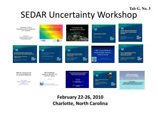 SEDAR Uncertainty Workshop