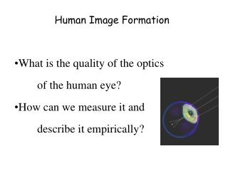 Human Image Formation