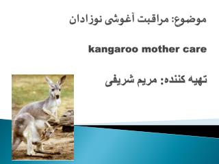 موضوع: مراقبت آغوشی نوزادان kangaroo mother care تهیه کننده: مریم شریفی