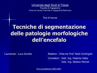 Tecniche di segmentazione delle patologie morfologiche dell’encefalo