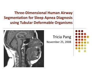 Tricia Pang November 25, 2008