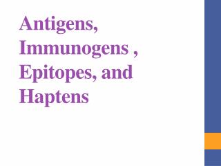 Antigens, Immunogens , Epitopes, and Haptens