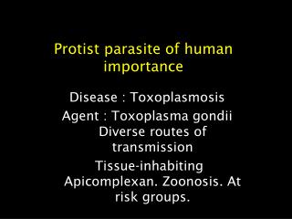 Protist parasite of human importance