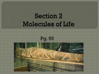 Section 2 Molecules of Life