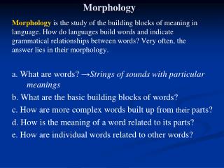 Morphology