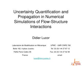 Uncertainty Quantification and Propagation in Numerical Simulations of Flow-Structure Interactions