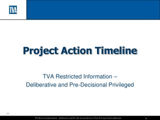 Project Action Timeline