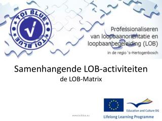 Samenhangende LOB-activiteiten de LOB-Matrix