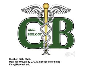 Stephen Fish, Ph.D. Marshall University J. C. E. School of Medicine Fish@Marshall