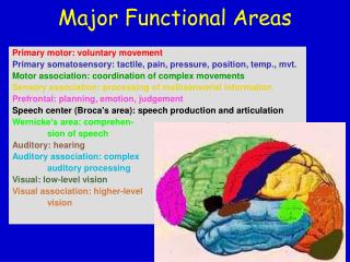Major Functional Areas