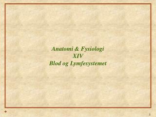 Anatomi &amp; Fysiologi XIV Blod og Lymfesystemet