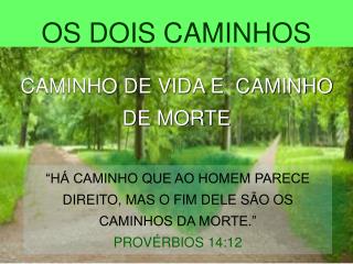 CAMINHO DE VIDA E CAMINHO DE MORTE
