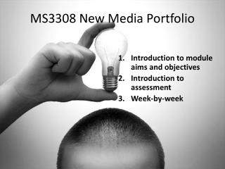 MS3308 New Media Portfolio