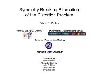 Symmetry Breaking Bifurcation of the Distortion Problem