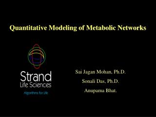 Quantitative Modeling of Metabolic Networks