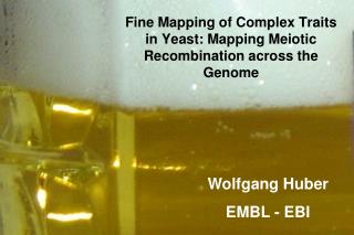 Fine Mapping of Complex Traits in Yeast: Mapping Meiotic Recombination across the Genome