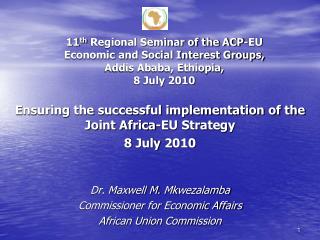 Ensuring the successful implementation of the Joint Africa-EU Strategy 8 July 2010