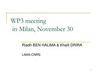 WP3 meeting in Milan, November 30