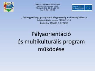 Pályaorientáció és multikulturális program működése