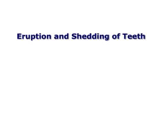 Eruption and Shedding of Teeth
