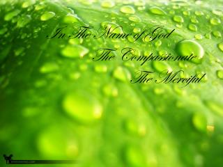 In The Name of God 		 The Compassionate 			 	 The Merciful