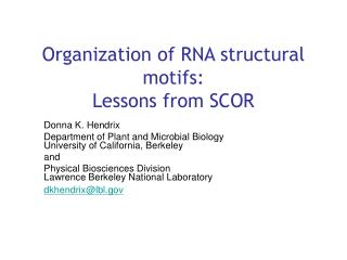 Organization of RNA structural motifs: Lessons from SCOR