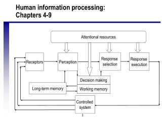 Human information processing: Chapters 4-9