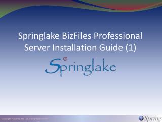 Springlake BizFiles Professional Server Installation Guide (1)