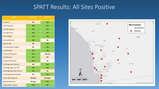 SPATT Results: All Sites Positive