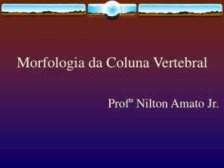 Morfologia da Coluna Vertebral Profº Nilton Amato Jr.