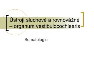 Ústrojí sluchové a rovnovážné – organum vestibulocochlearis