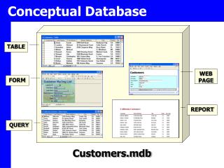 Conceptual Database