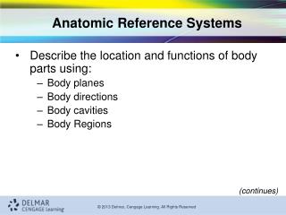 Anatomic Reference Systems
