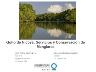 Golfo de Nicoya: Servicios y Conservación de Manglares