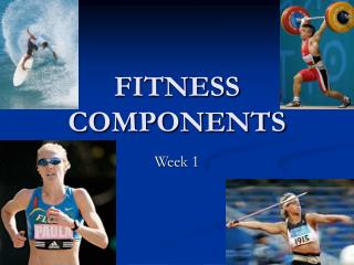 FITNESS COMPONENTS
