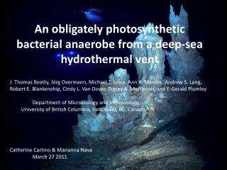 An obligately photosynthetic bacterial anaerobe from a deep-sea hydrothermal vent