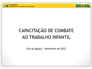 CAPACITAÇÃO DE COMBATE AO TRABALHO INFANTIL Foz do Iguaçu – Novembro de 2012