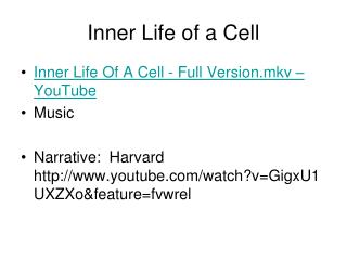 Inner Life of a Cell