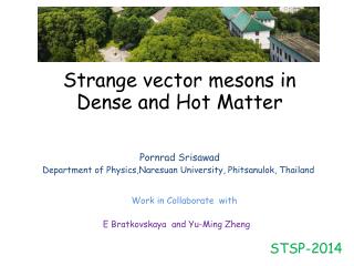 Strange vector mesons in Dense and Hot M atter