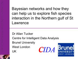 Dr Allan Tucker Centre for Intelligent Data Analysis Brunel University West London UK