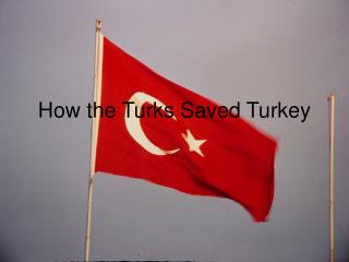 How the Turks Saved Turkey