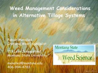 Weed Management Considerations in Alternative Tillage Systems