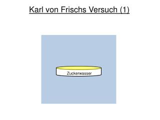 Karl von Frischs Versuch (1)