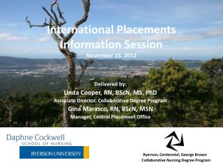 International Placements Information Session November 23, 2012