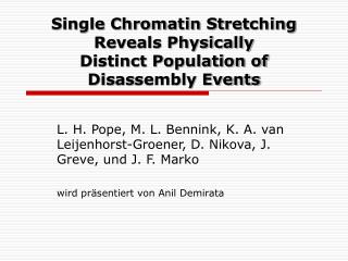 Single Chromatin Stre t ching Reveals Physically Distinct Population of Dis as sembly Events