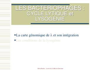 LES BACTERIOPHAGES : CYCLE LYTIQUE et LYSOGÉNIE