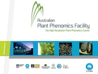 Plant phenomics