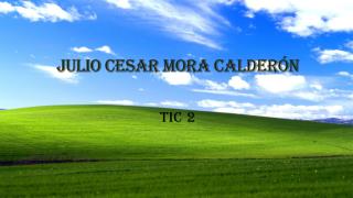 JULIO CESAR MORA CALDERÓN