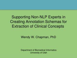 Supporting Non-NLP Experts in Creating Annotation Schemas for Extraction of Clinical Concepts 
