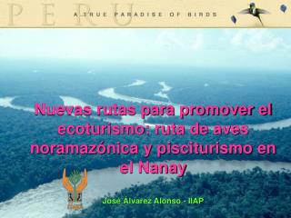 Nuevas rutas para promover el ecoturismo: ruta de aves noramazónica y pisciturismo en el Nanay